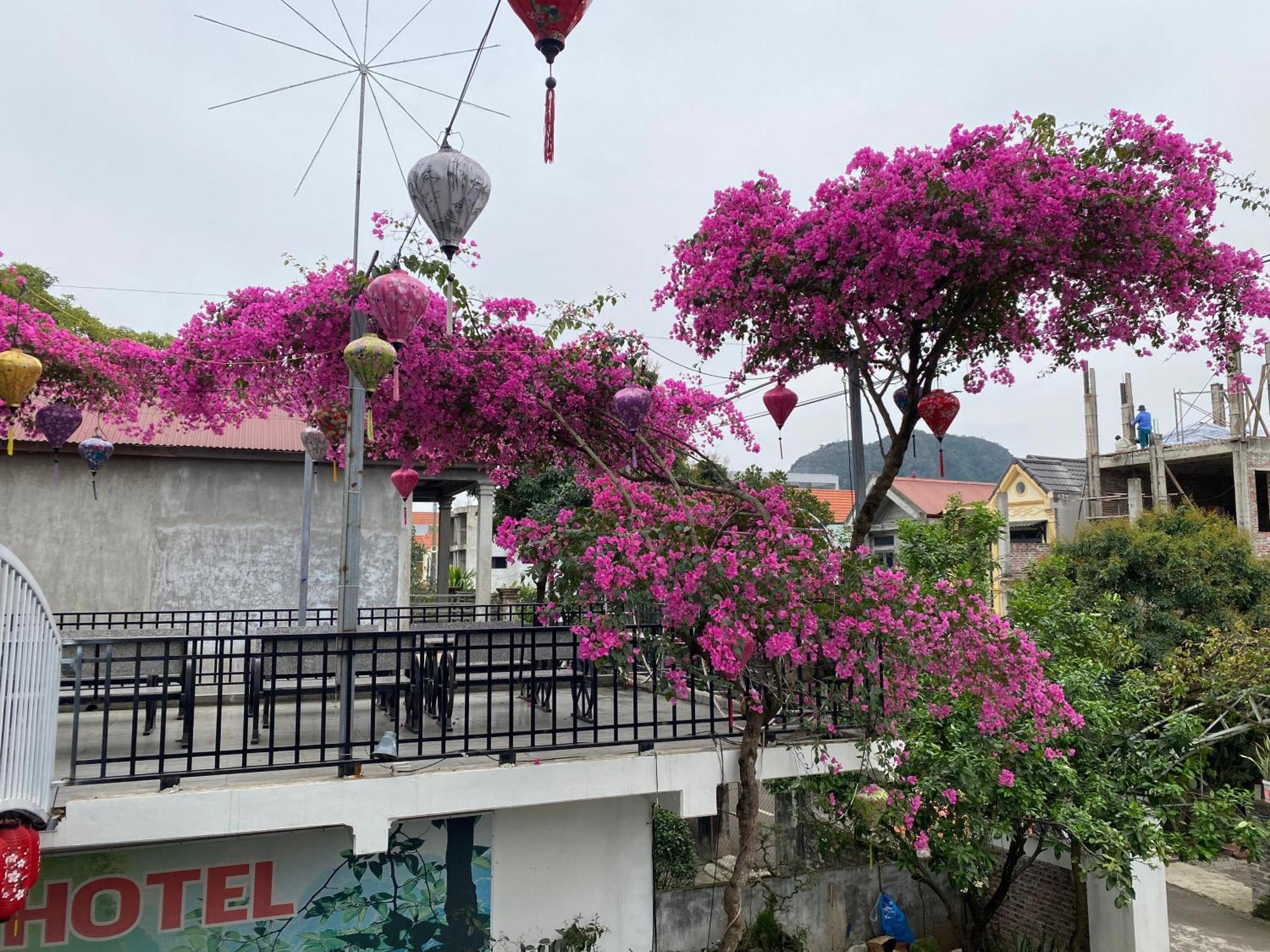 Elizabeth Hotel Tam Coc Ninh Bình Extérieur photo